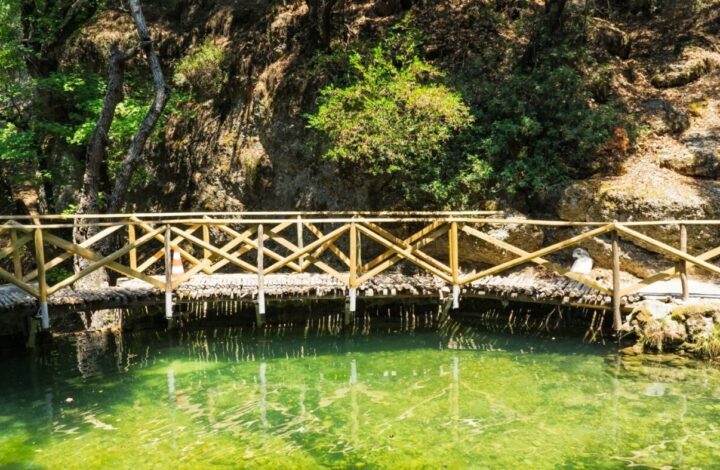 Valley Of Butterflies ( Petaloudes ) – Rhodes Island